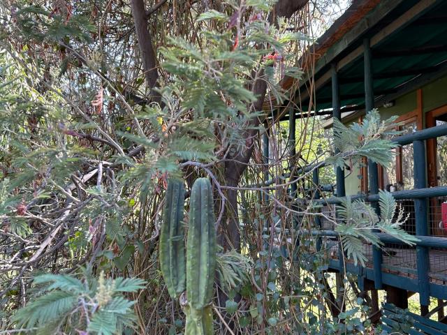 Casa en Lo Barnechea