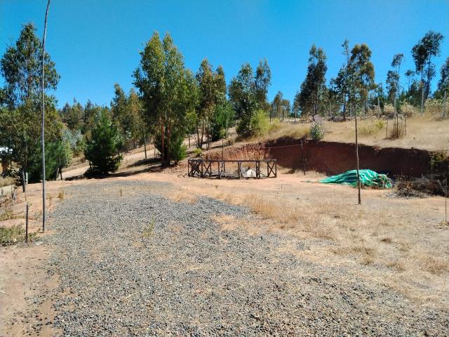 Terreno en venta en Lolol, Libertador General Bernardo O'higgins