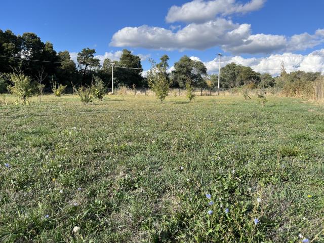 Casa en Los Ángeles