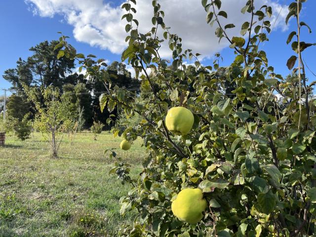 Casa en Los Ángeles