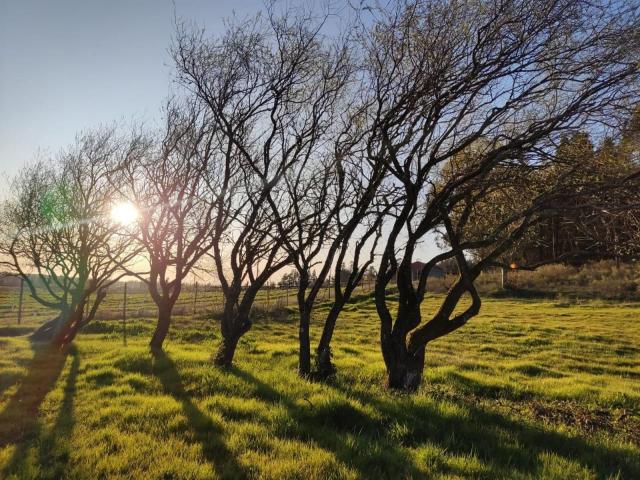 Casa en Los Ángeles