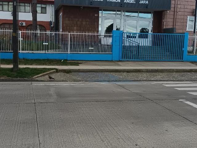 Casa en Los Muermos
