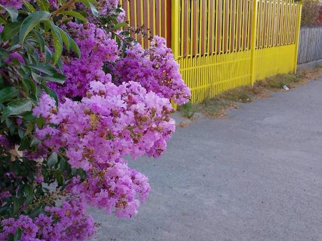 Casa en arriendo en Molina, Provincia de Curicó