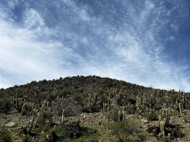 Casa en Monte Patria