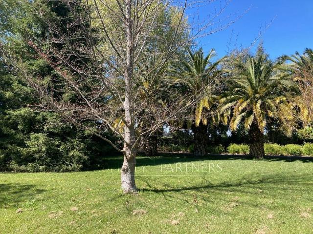 Casa en Nancagua