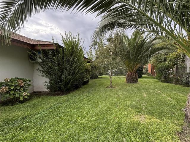 Casa en Olivar