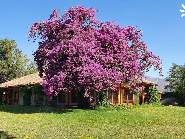 Casa en arriendo en Paine, Metropolitana