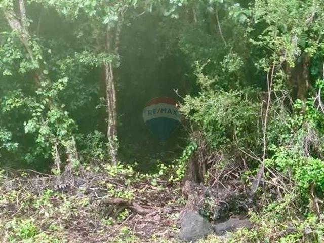 Casa en Panguipulli