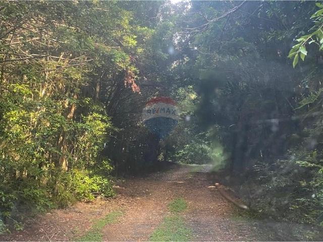 Casa en Panguipulli