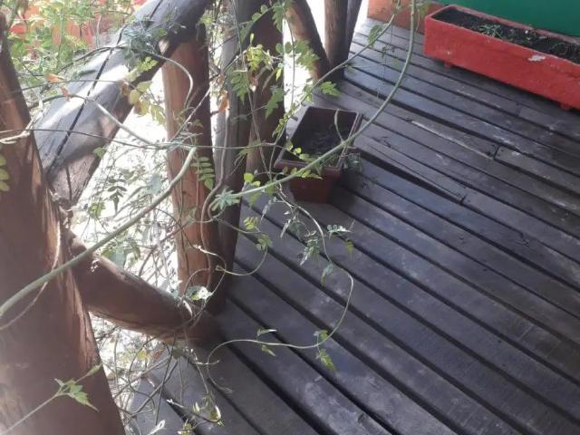 Casa en arriendo en Puente Alto, Metropolitana