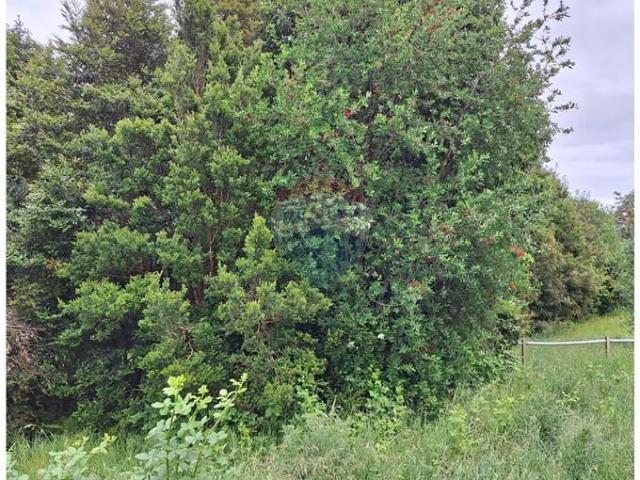 Casa en Puerto Montt