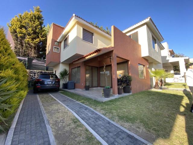 Casa en renta en Colonia Juárez, Los Robles