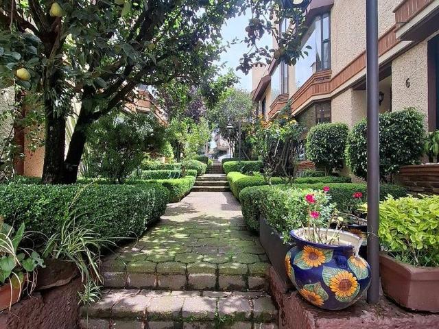 Casa en renta en La Magdalena Contreras, Ciudad de México