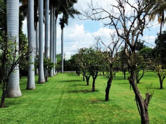 Departamento en renta en Morelos