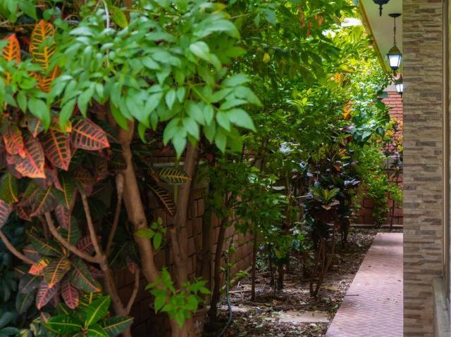 Casa en renta en Residencial Del Bosque, Santa Cruz Xoxocotlán