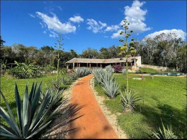 Casa en renta en Temozón, Yucatán