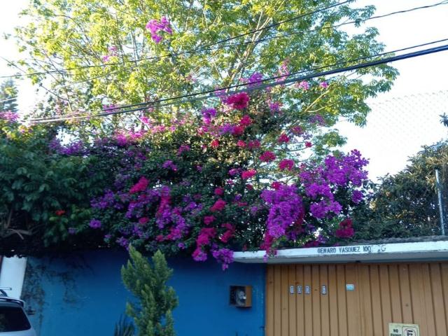 Casa en renta en Oaxaca De Juárez, Oaxaca