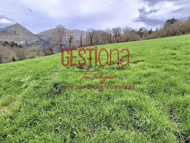 Casa en venta en Ruesga, Cantabria