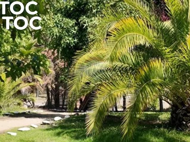 Casa en San Pedro