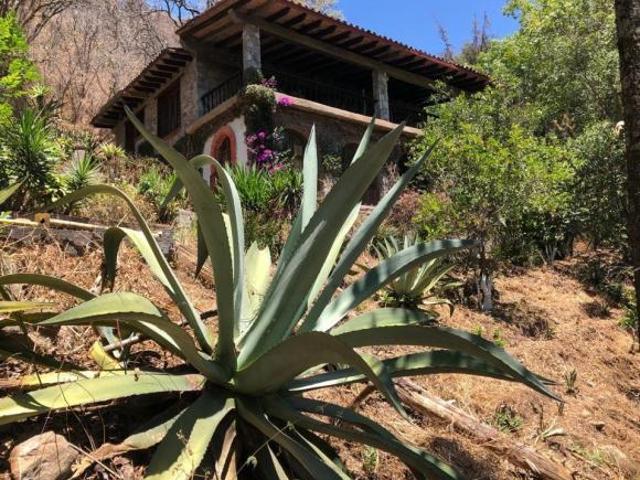 Casa en venta en Telpintla, Temascaltepec