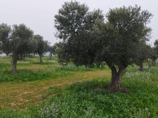 Casa en venta en Segrià, Catalunya