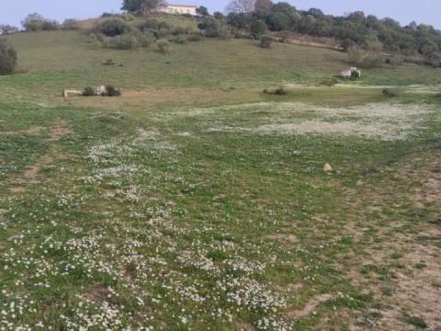 Casa en venta en Sierra de Cádiz, Andalucía