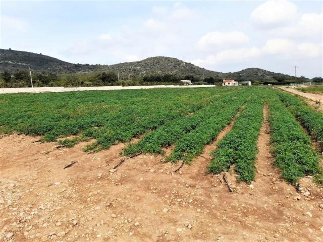 Casa en venta en Montsià, Catalunya