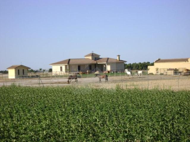 Casa en venta en Palacios De Goda, Castilla y León