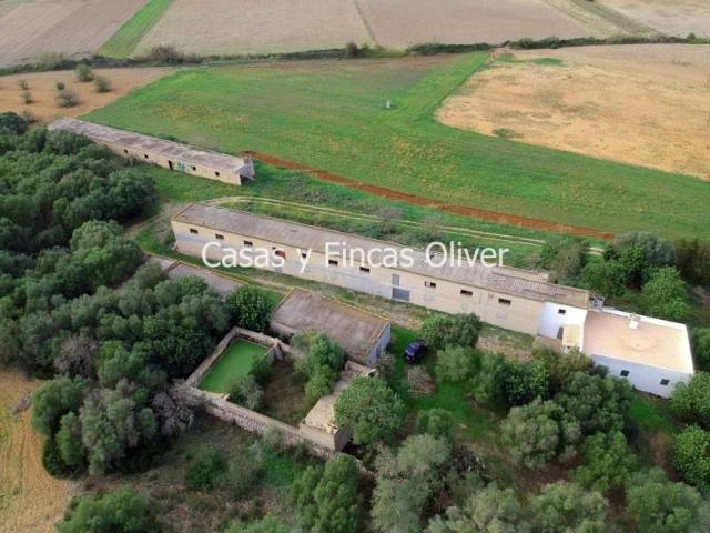 Casa en venta en Pla de Mallorca, Baleares