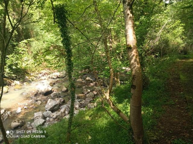 Chalet en venta en Dima, Guipúzcoa