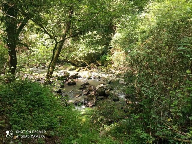 Chalet en venta en Dima, Guipúzcoa