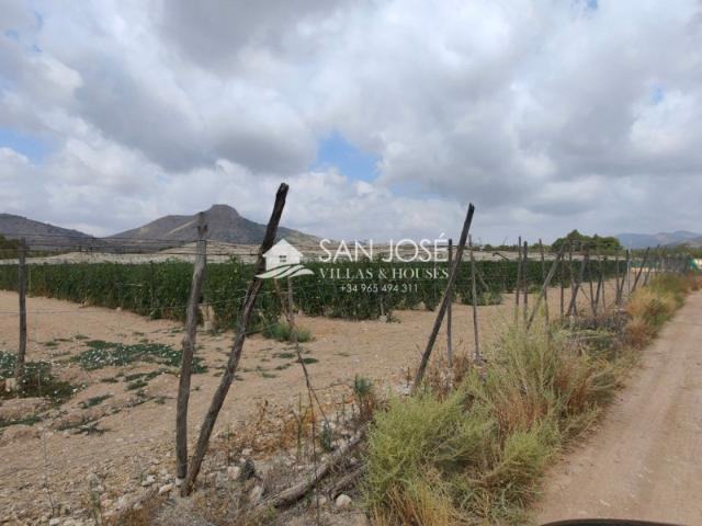 Casa en venta en el Vinalopó Mitjà / El Vinalopó Medio, Valencia