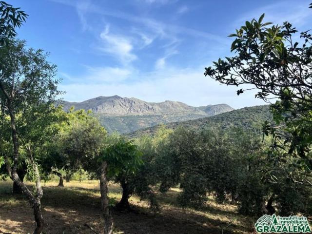 Casa en venta en Serranía de Ronda, Andalucía