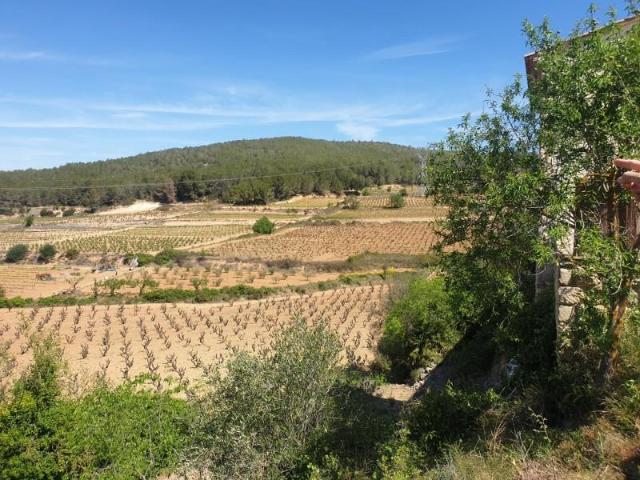 Casa en venta en Sant Pere Molanta, Alt Penedès