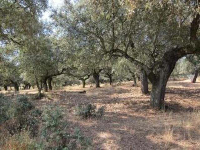 Casa en venta en La Cumbre, Extremadura