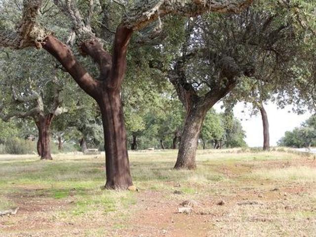 Casa en venta en Tierra de Badajoz, Extremadura