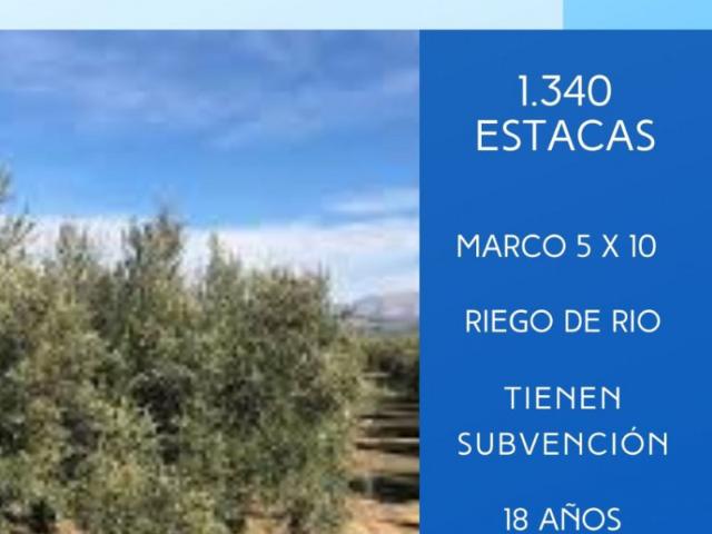 Casa en venta en Barrio Poetas de la Hispanidad, Baeza