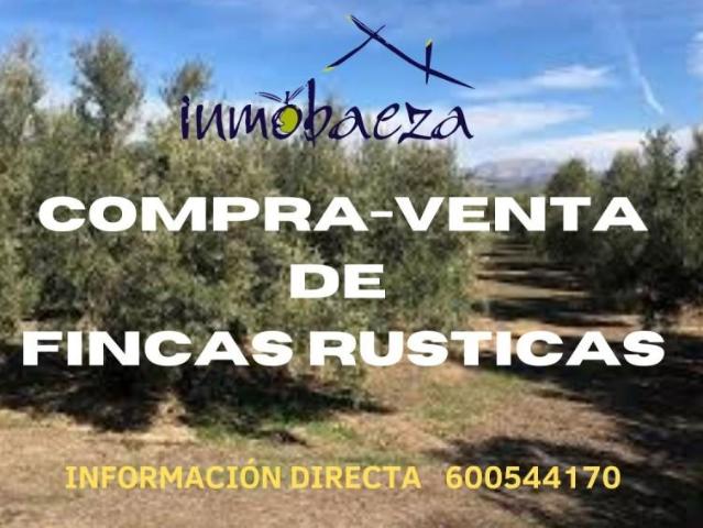 Casa en venta en Barrio Poetas de la Hispanidad, Baeza