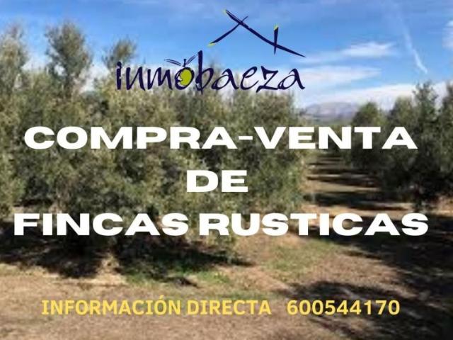 Casa en venta en Barrio Poetas de la Hispanidad, Baeza