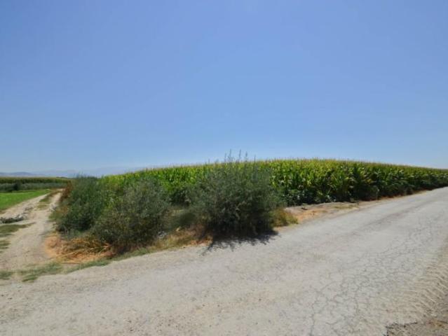 Casa en venta en Belicena, Comarca de la Vega de Granada