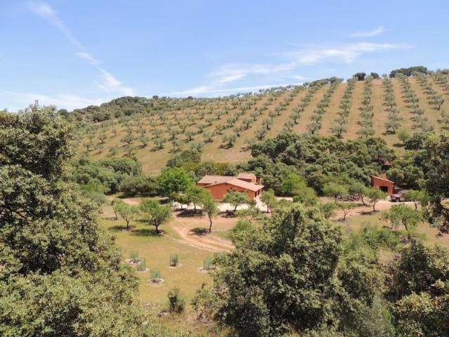 Casa en venta en Belvís De La Jara, Castilla-La Mancha