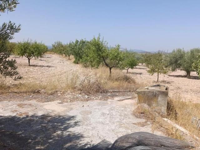 Casa en venta en Noroeste, Murcia