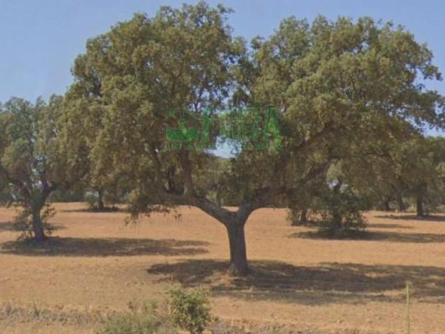 Casa en venta en Campillo De Llerena, Extremadura
