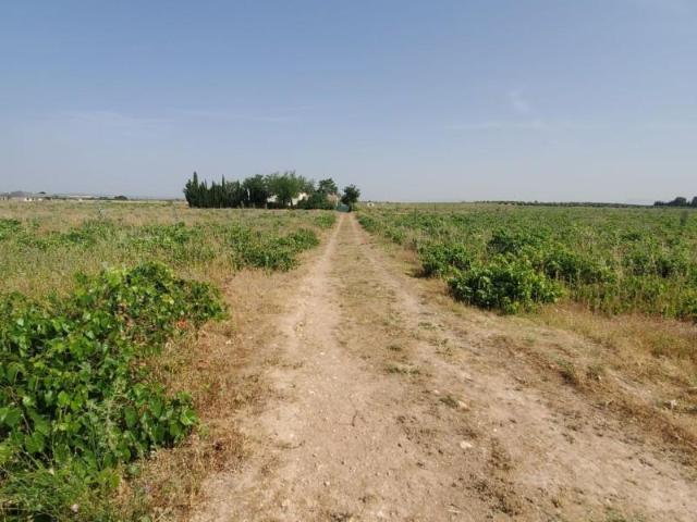 Casa en venta en Carrión De Calatrava, Castilla-La Mancha