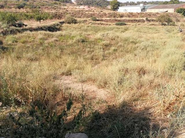 Casa en venta en Garrigues, Catalunya