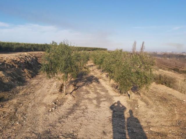 Casa en venta en Garrigues, Catalunya