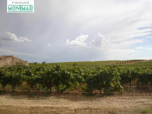 Casa en venta en Alt Penedès, Catalunya
