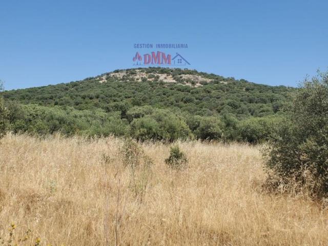 Casa en venta en Los Ángeles, Ciudad Real