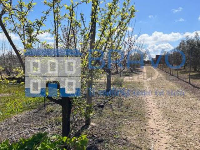 Casa en venta en Don Benito