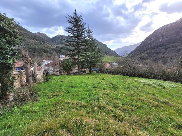 Casa en venta en Cabrales